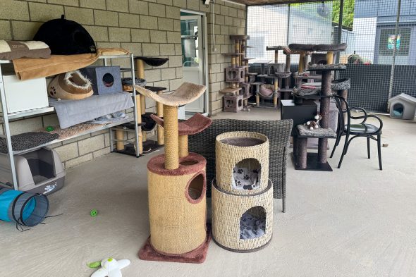 Tierheim Eupen steckt in finanziellen Schwierigkeiten