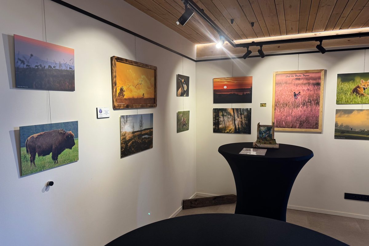 Ausstellung von Vitus Peeren im Espace 694 am Signal de Botrange