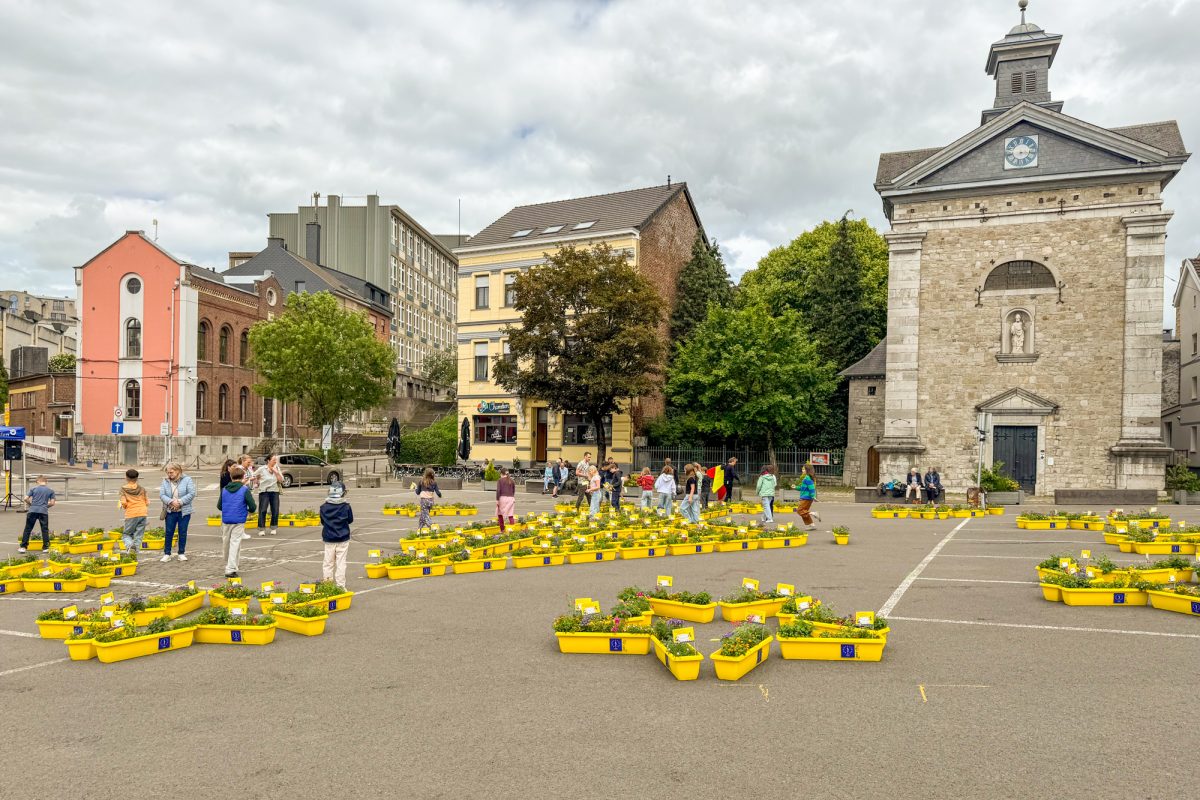Mehrere mit Blumenkästen geformte Sterne auf dem Werthplatz