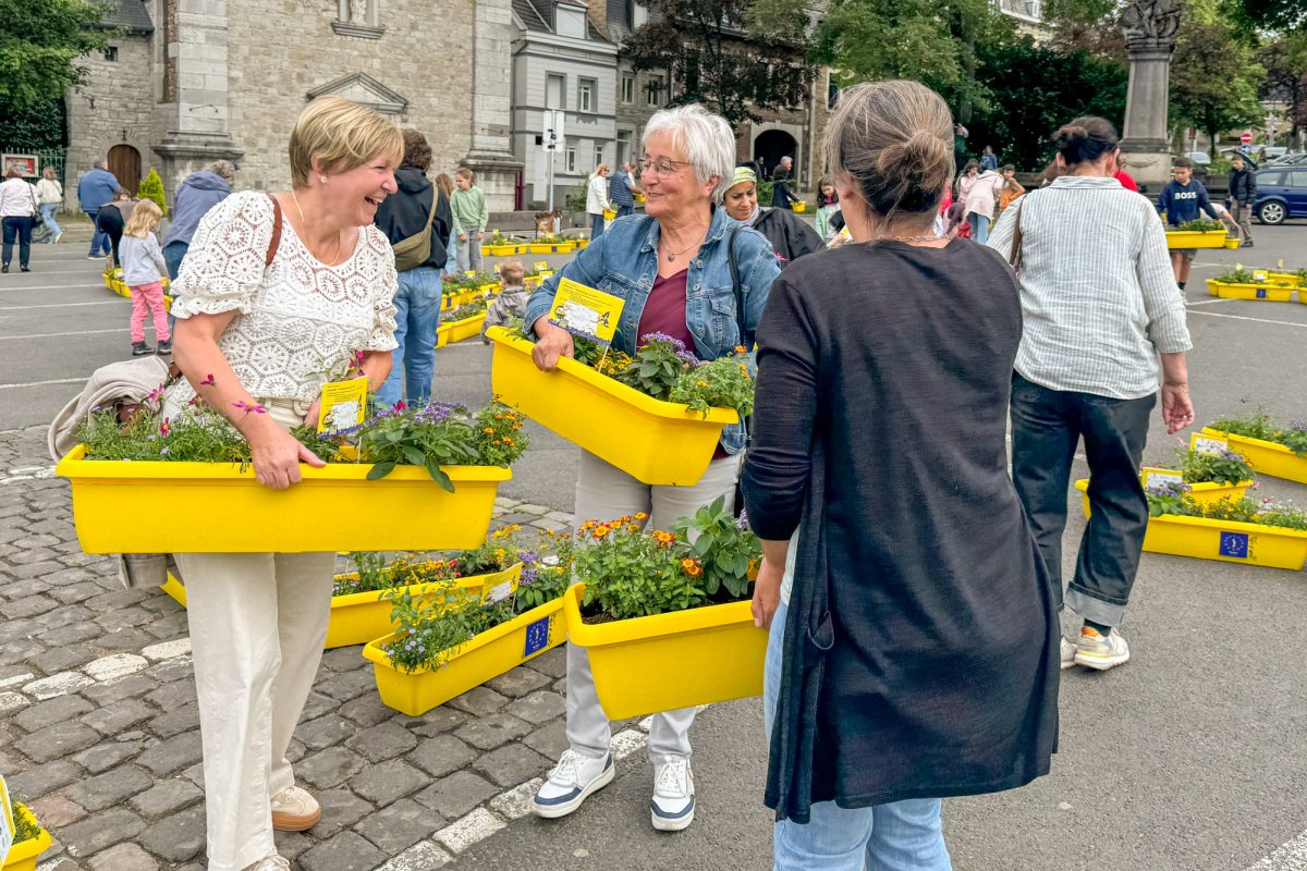 Besucher halten Blumenkästen in den Händen
