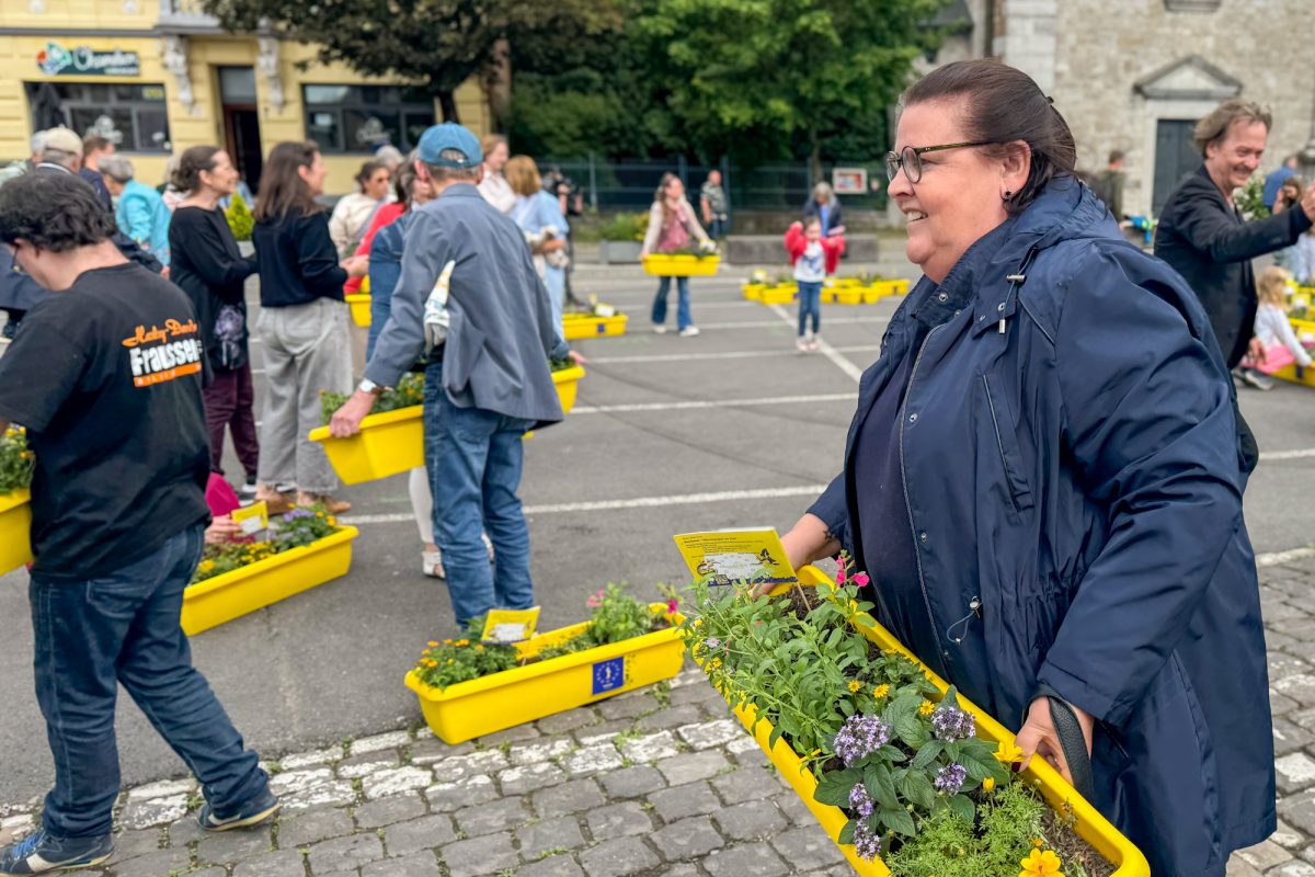 Besucher halten Blumenkästen in den Händen
