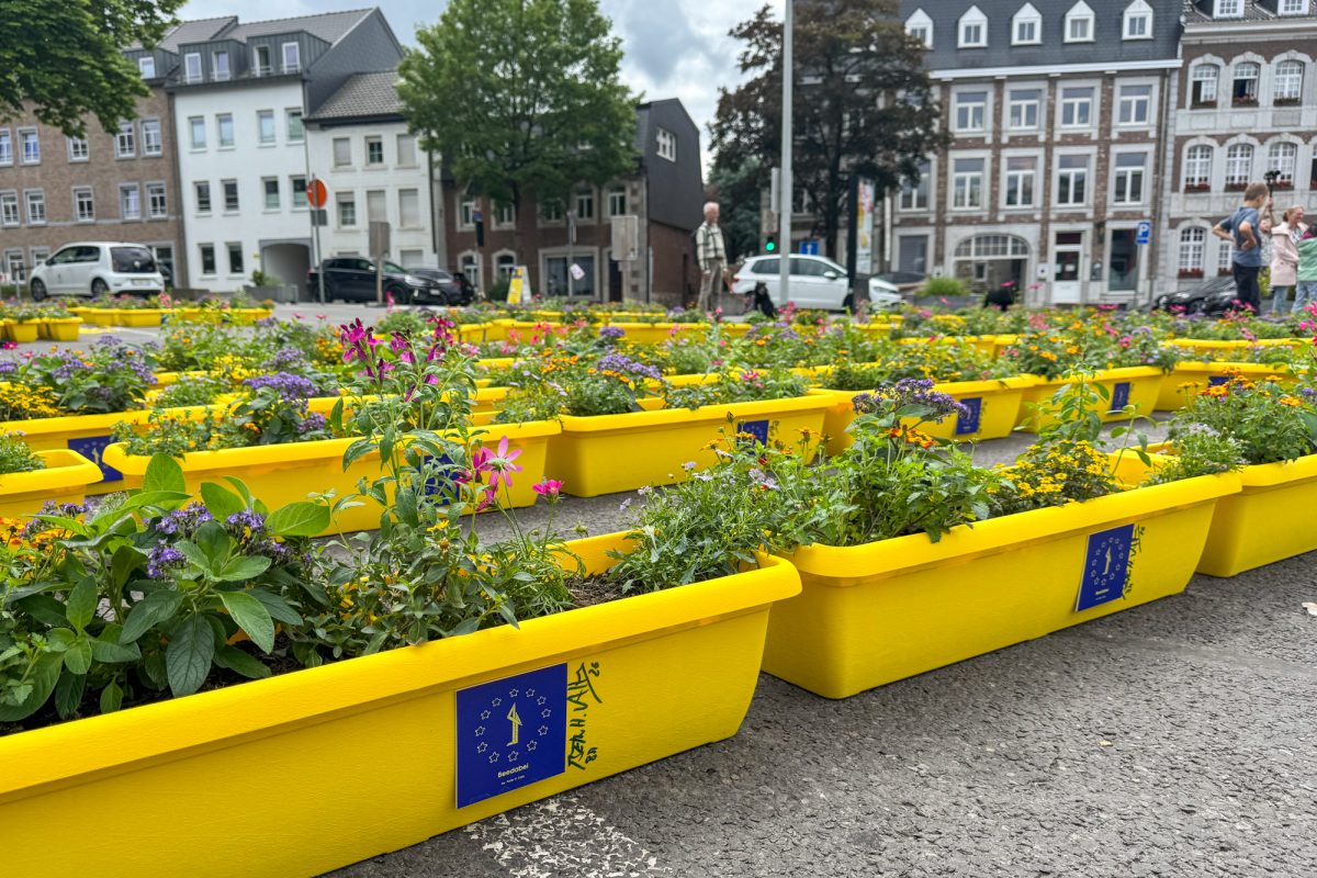 Blumenkästen stehen aneinandergereiht auf dem Werthplatz