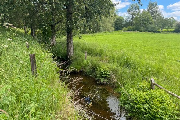 Die Braunlauf, die dem Dorf seinen Namen gegeben hat