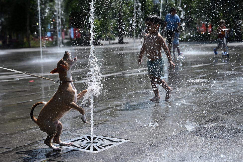 Hund und kleiner Junge kühlen sich an einer Wasserfontäne in Brüssel ab