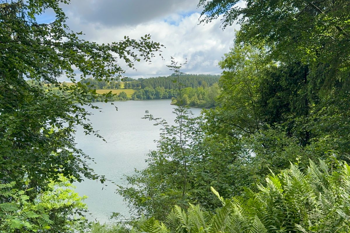 See von Bütgenbach