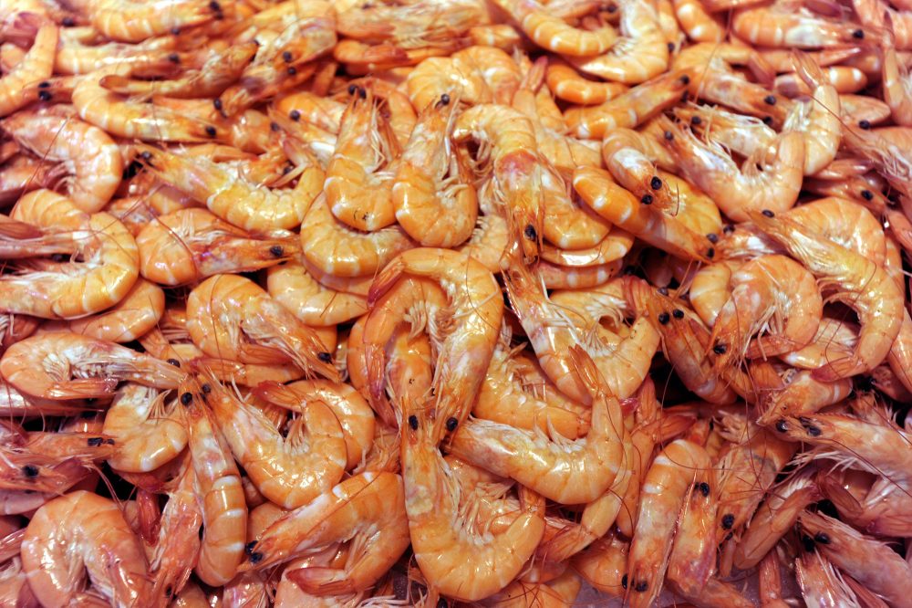 Garnelen, Shrimps
