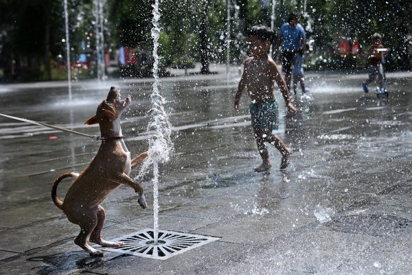 Ein Hund spielt an einer Wasserfontäne, die in Brüssel aus dem Boden schießt, im Hintergrund läuft ein kleiner Junge durch das kühle Nass