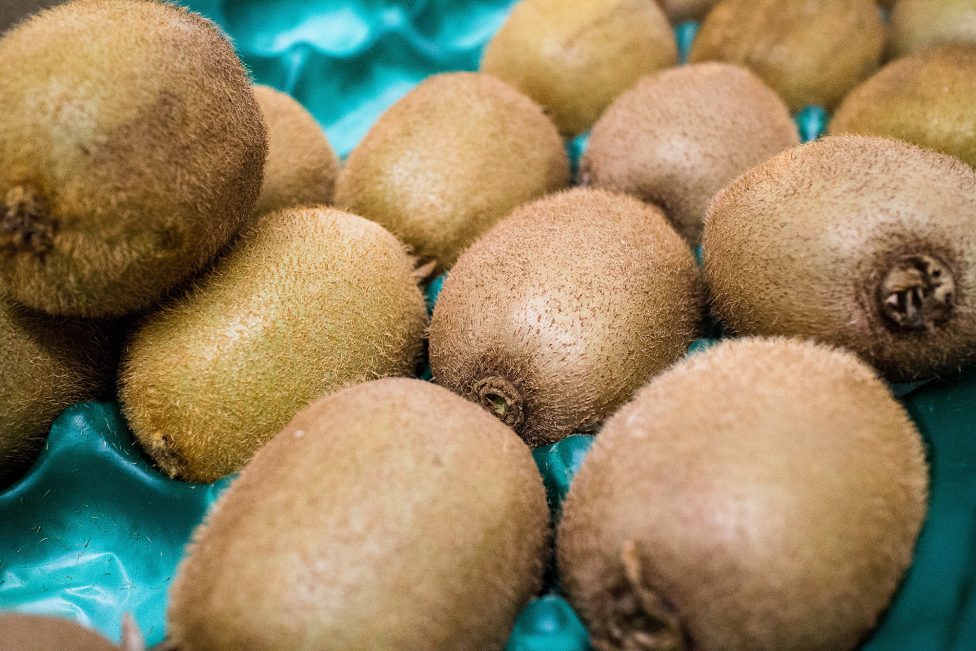 Kiwis in einem Verkaufskorb