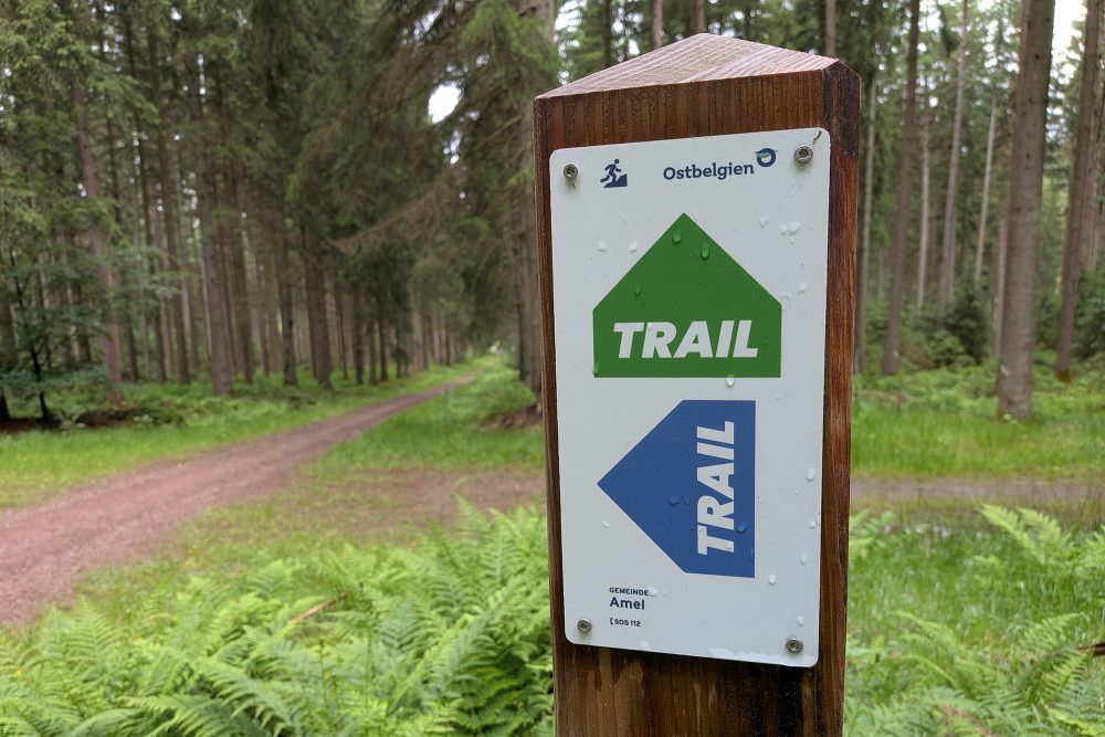 Pfeiler mit dem "Trail"-Schild im Wald
