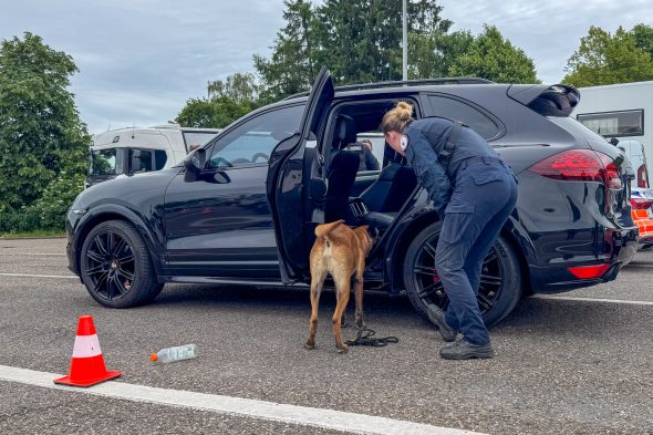 Spürhund durchsucht Auto