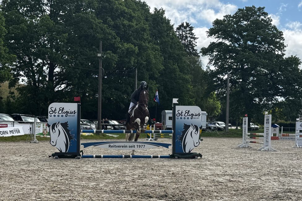 Reiterin und Pferd im Parcours