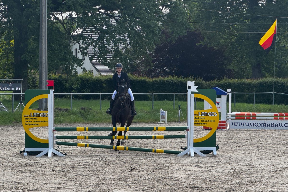 Reiterin und Pferd im Parcours 