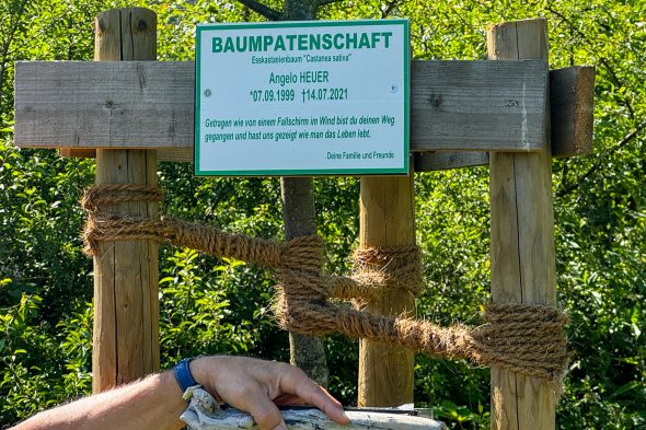 Baumpatenschaft für Angelo