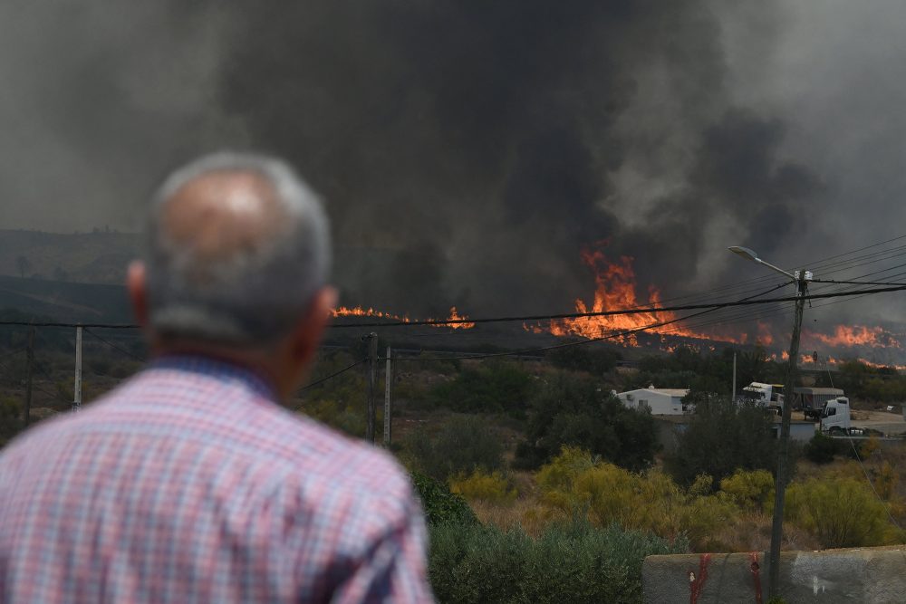 Mann beobachtet aus der Ferne den Waldbrand bei Bédar in der Provinz Almeria in Südspanien