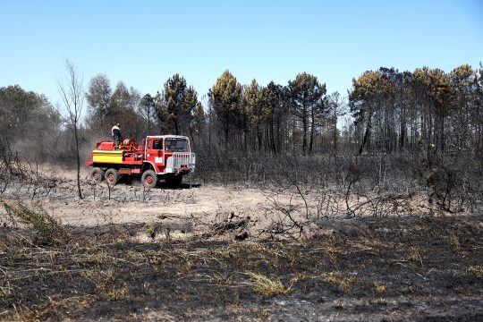 Löscharbeiten in einem Waldstück nahe Bordeaux