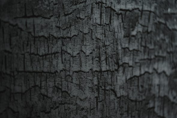 "Burnt Wood"-Optik von Töller in einer der Logen im Uhoda Tower