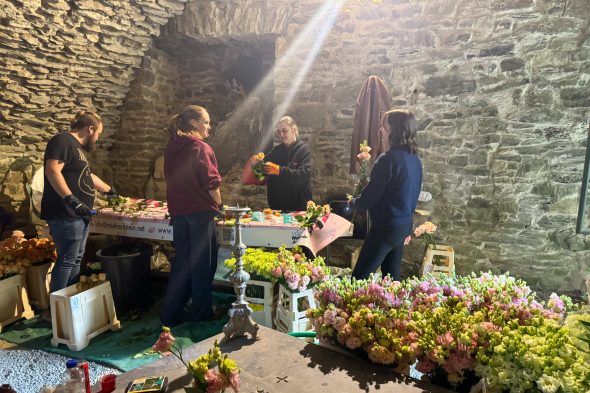 Menschen zwischen Blumen beim Aufbau von "Castelflora"