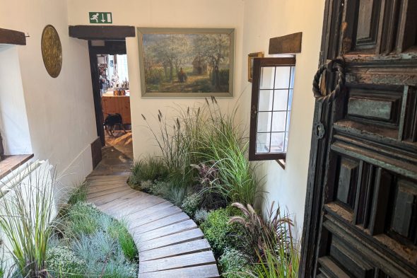 Zimmer mit Begrünung in der Burg