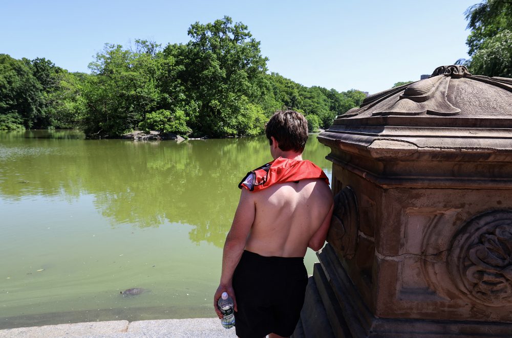 Ein Mann steht am See des Central Parks in New York