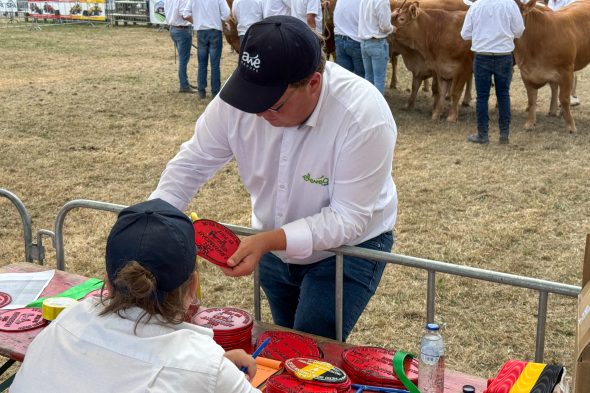 Landwirtschaftsmesse: Foire de Libramont