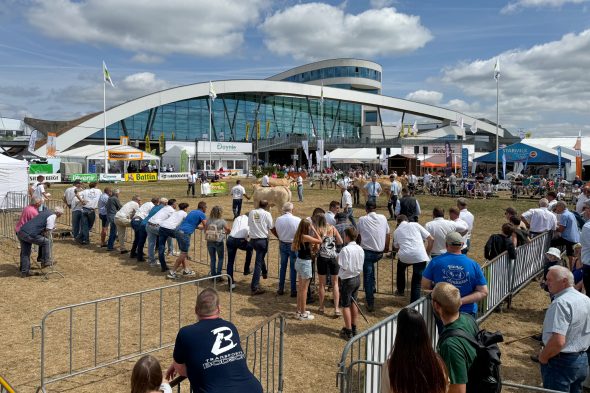 Menschen betrachten Tiere bei der Landwirtschaftsmesse