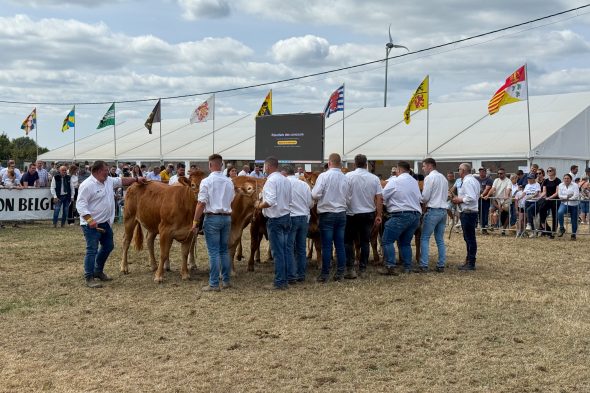 Menschen bei der Landwirtschaftsmesse