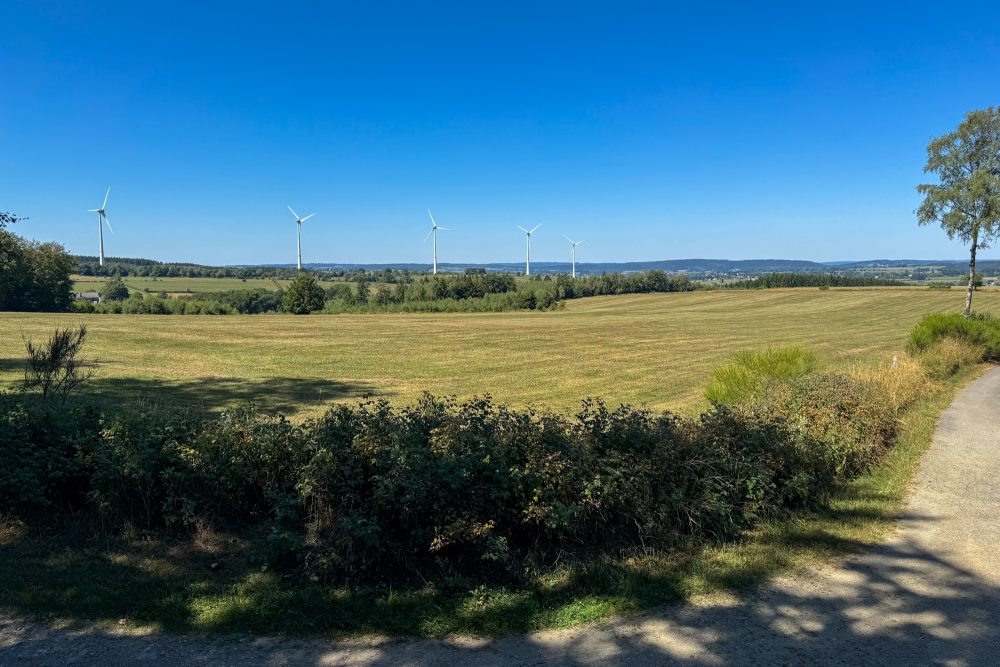 Die Aussicht von der Bank