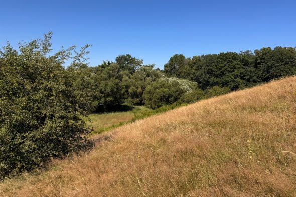 Spaziergang im Eupener Ortsteil Nispert zum Thema Wasserschutz