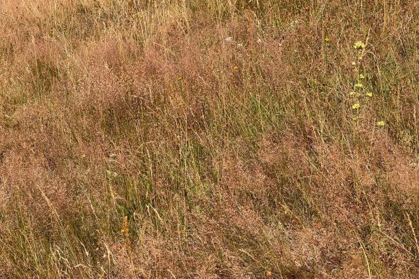 Spaziergang im Eupener Ortsteil Nispert zum Thema Wasserschutz