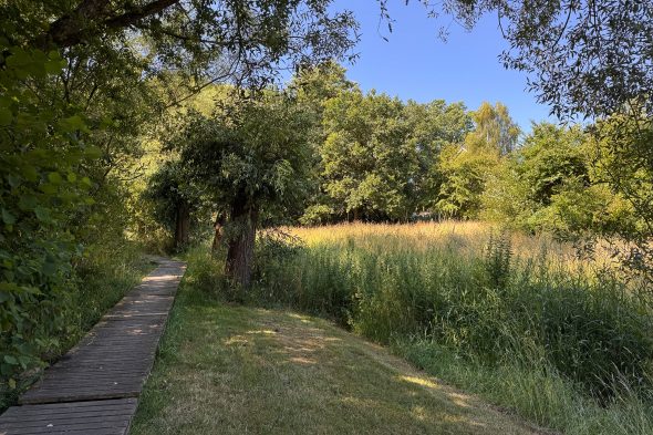 Spaziergang im Eupener Ortsteil Nispert zum Thema Wasserschutz