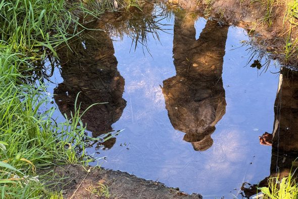 Spaziergang im Eupener Ortsteil Nispert zum Thema Wasserschutz