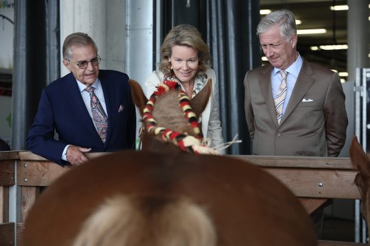 Königin Mathilde und König Philippe streicheln ein Pferd