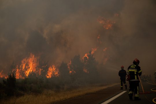 Wald steht in Flammen, daneben eine Straße, auf der Feuerwehrleute stehen, und versuchen zu löschen