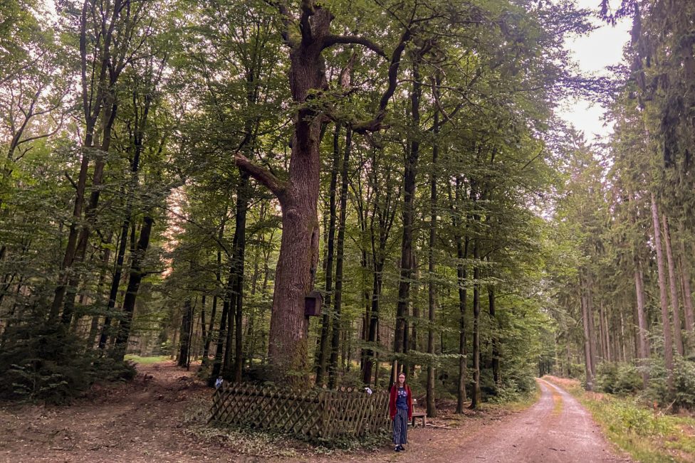 Antoniusbaum im Wald am Prümer Berg, Larissa Nelles steht davor