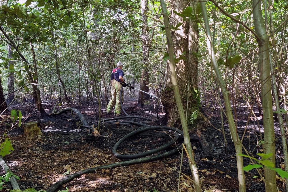 verbrannte Vegetation, im Hintergrund bekämpft ein Feuerwehrmann den Brand mit Wasser aus einem Schlauch