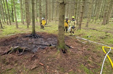 Feuerwehrleute an einer Brandstelle im Wald