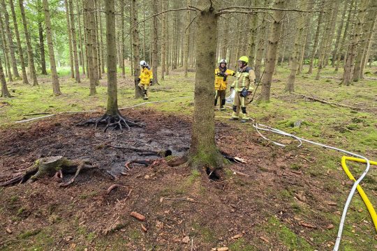 Feuerwehrleute an einer Brandstelle im Wald