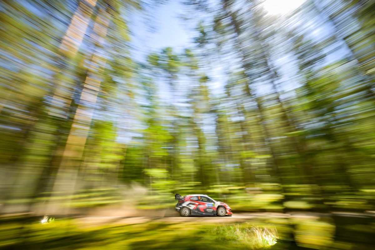 Der Toyota von Sami Pajari und Marco Salminen zwischen Bäumen