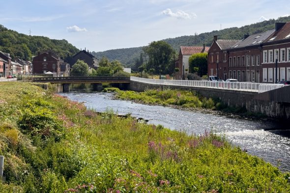 Weser in Pepinster