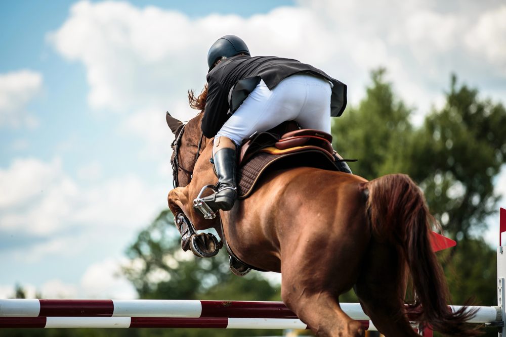 Reiter auf Pferd überspringt Hindernis