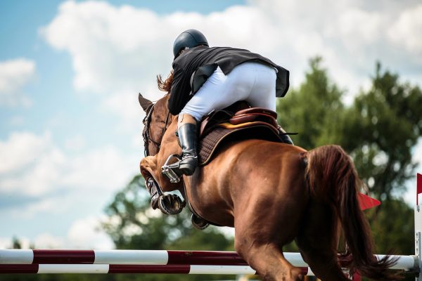 Reiter auf Pferd überspringt Hindernis