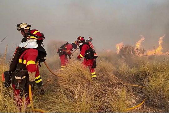 Feuerwehrleute beim Löschen eines Waldbrandes in Spanien