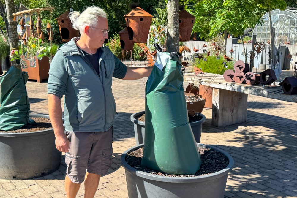 David Hermann steht neben einem Baum mit Bewässerungsbeutel