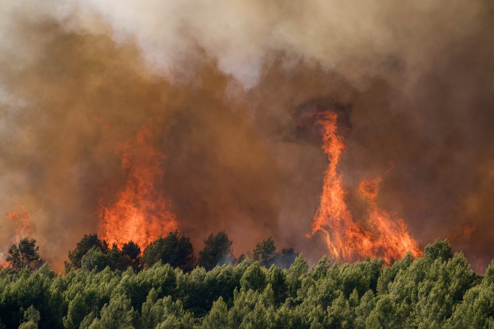 Ein Brand wütet in einem Wald in Südfrankreich