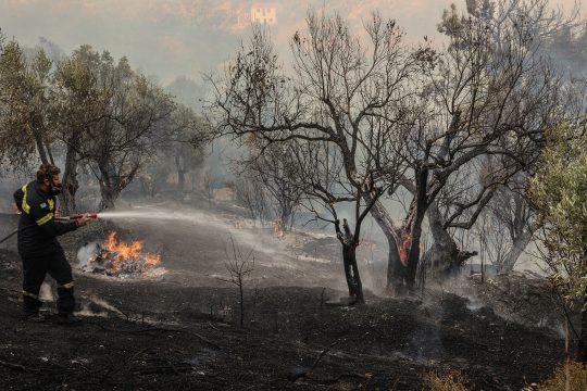 Feuerwehrmann kämpft bei einem Waldbrand in Griechenland gegen die Flammen