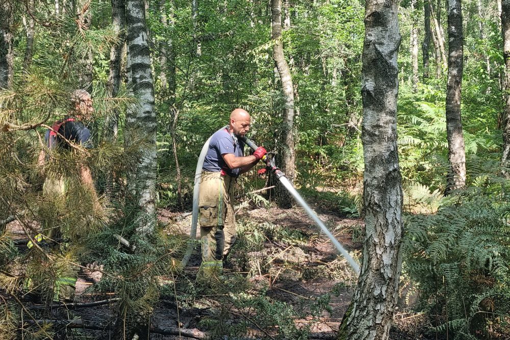 Zwei Feuerwehrleute bei Löscharbeiten im Lanklaardebos in Dilsen-Stokkem