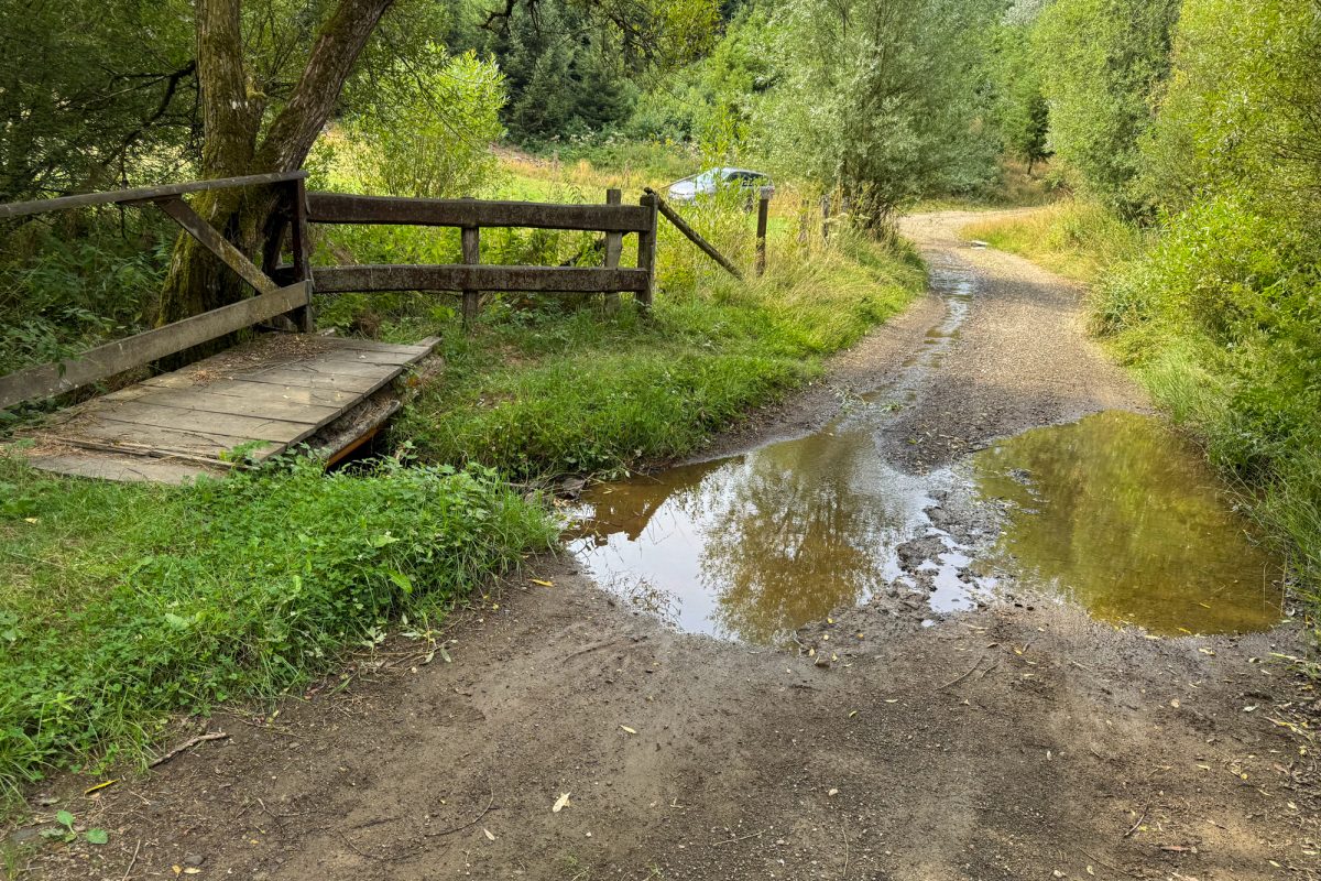 Waldweg, der von einem Bach gekreuzt wird, der nur wenig Wasser führt