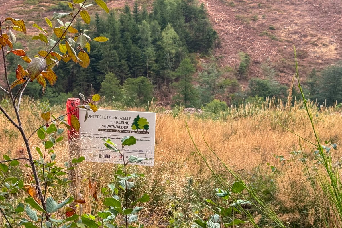 Auf einem Schild, das aufgestellt wurde, stehen Informationen zur "Unterstützungszelle für kleine Privatwälder"