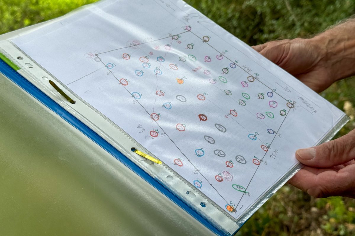 Eine auf Papier ausgedruckte Zeichnung mit bunten Punkten