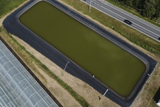 Wasserspeicher und Gewächshäuser eines Erdbeerbauern in Wortegem-Petegem in Ostflandern